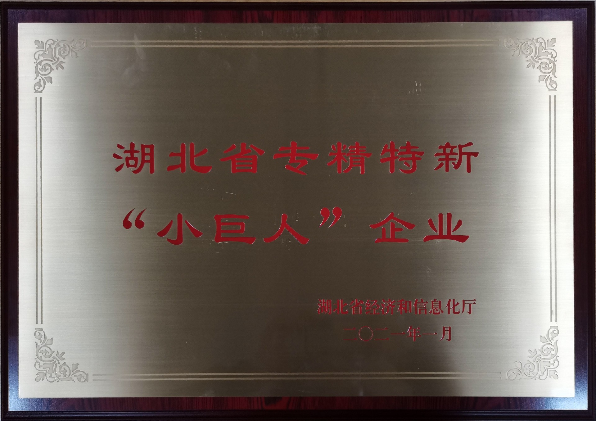 1701066538225863.jpg 1701066538225863.jpg